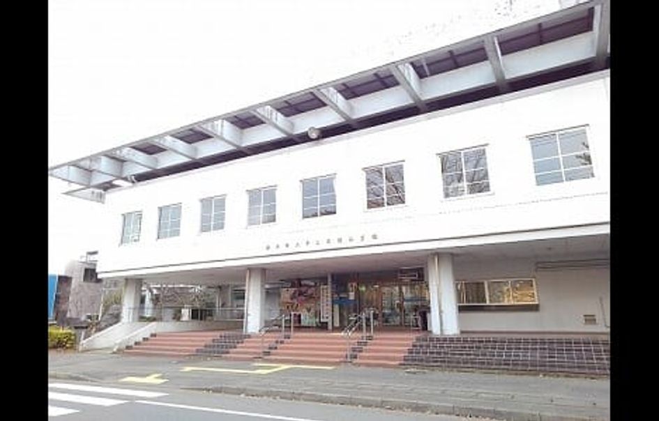 Naikan14 20250329000000 945x630