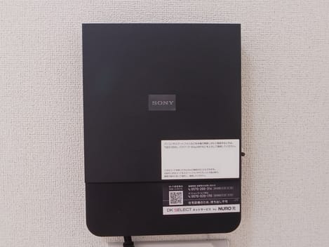 Naikan8 20260129000000
