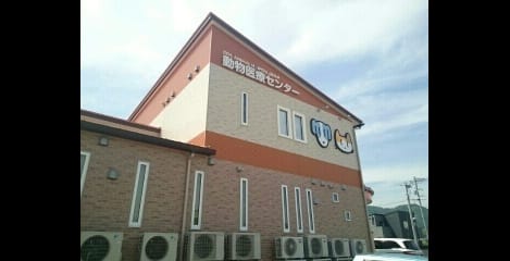 Naikan16 20200608000000