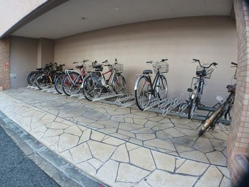 Naikan11 20250110000000 945x630