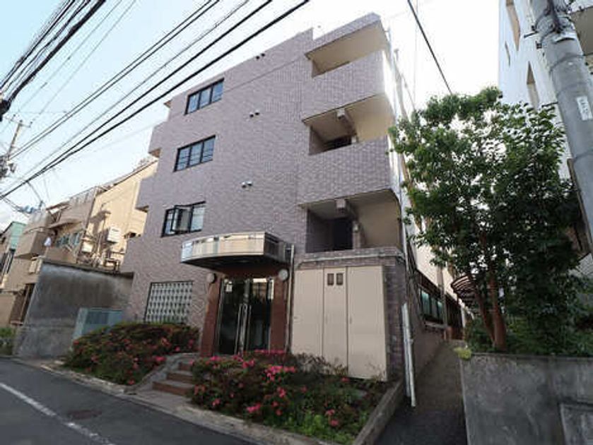 Naikan17 20260129222226 945x630