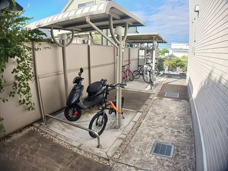 Naikan9 20241009000000