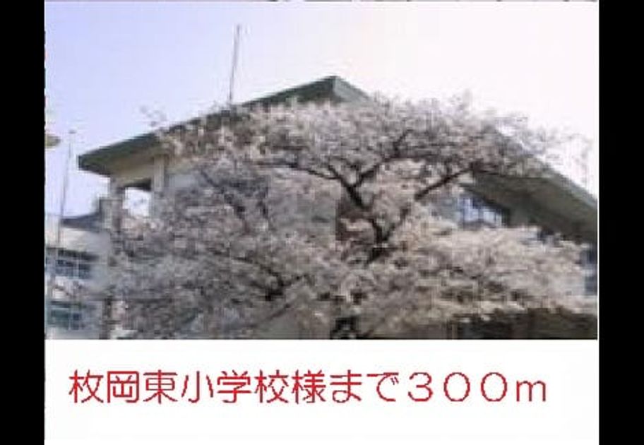 Naikan17 20140407000000 945x630