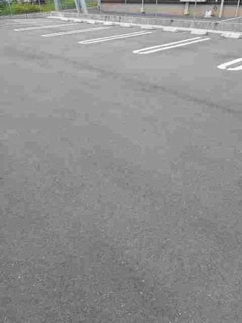 Naikan11 20210819000000 945x630