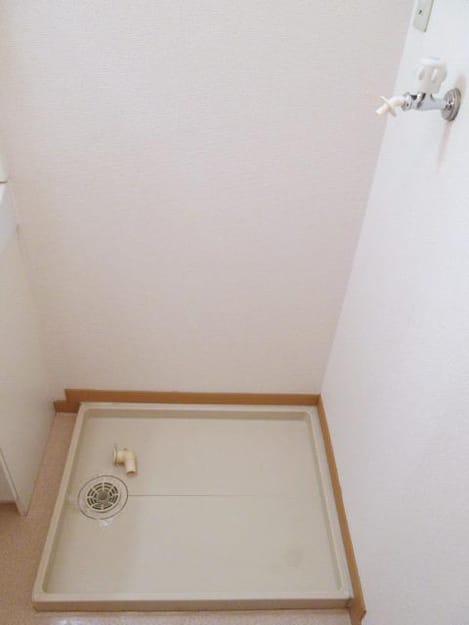 Naikan11 20200305000000