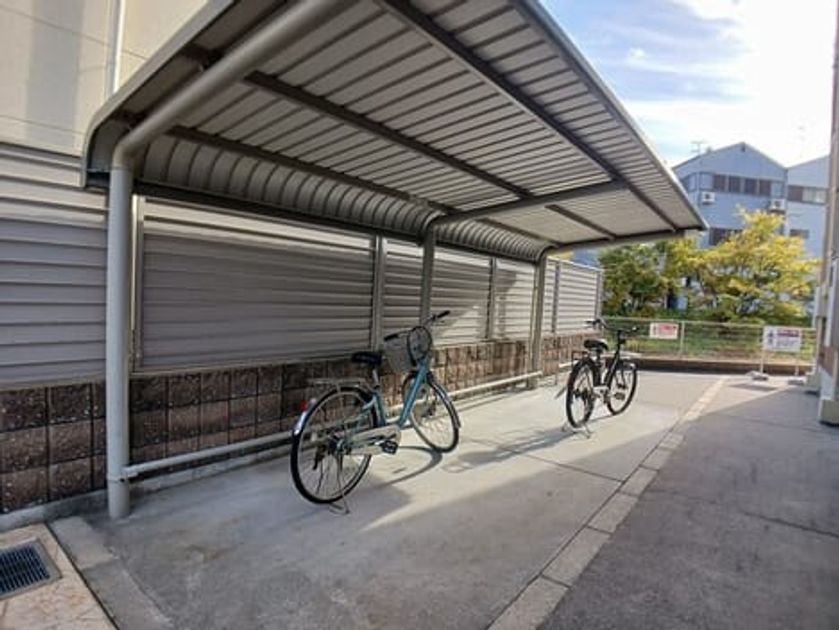 Naikan11 20251201000000 945x630