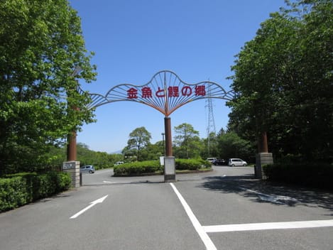 Naikan18 20201018000000