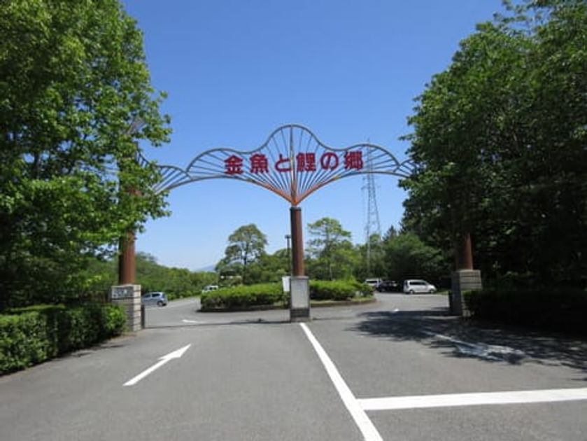 Naikan18 20201018000000 945x630