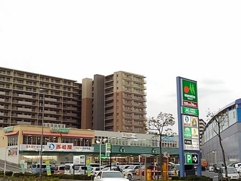 Naikan13 20200516000000 945x630
