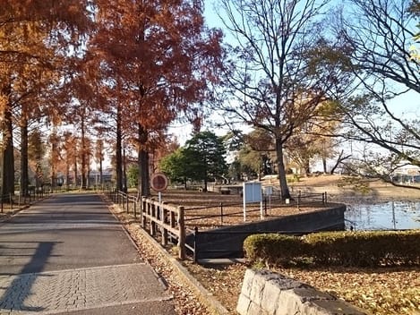 Naikan18 20210904000000