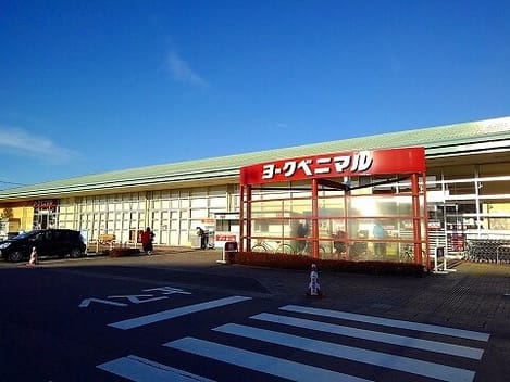 Naikan17 20230803000000