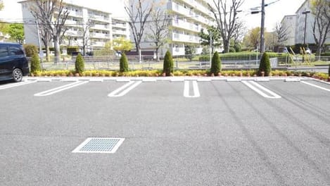 Naikan11 20190411000000