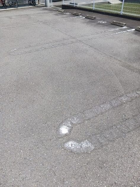Naikan11 20250528000000 945x630