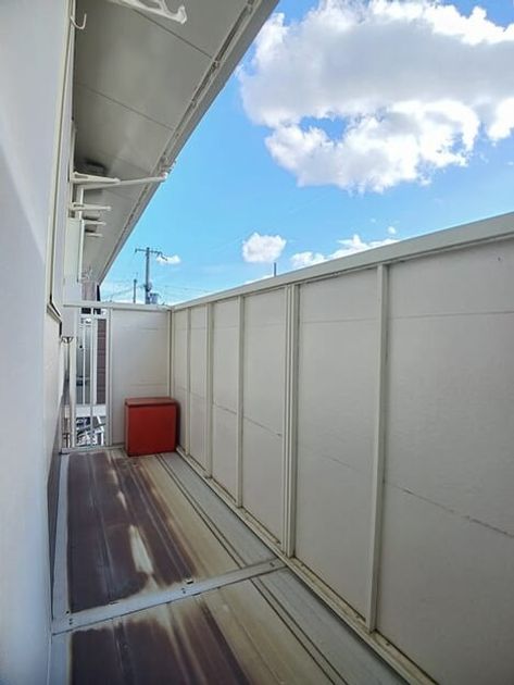 Naikan12 20251210000000 945x630
