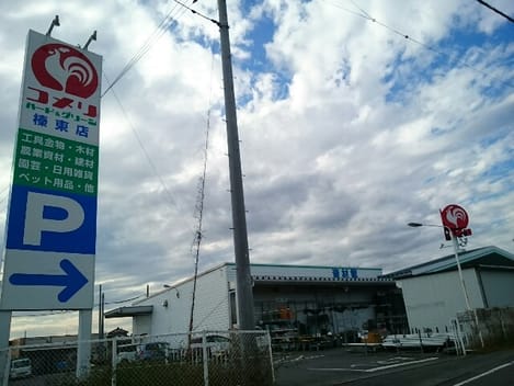 Naikan17 20200312000000