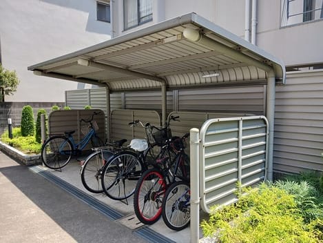 Naikan11 20250619000000