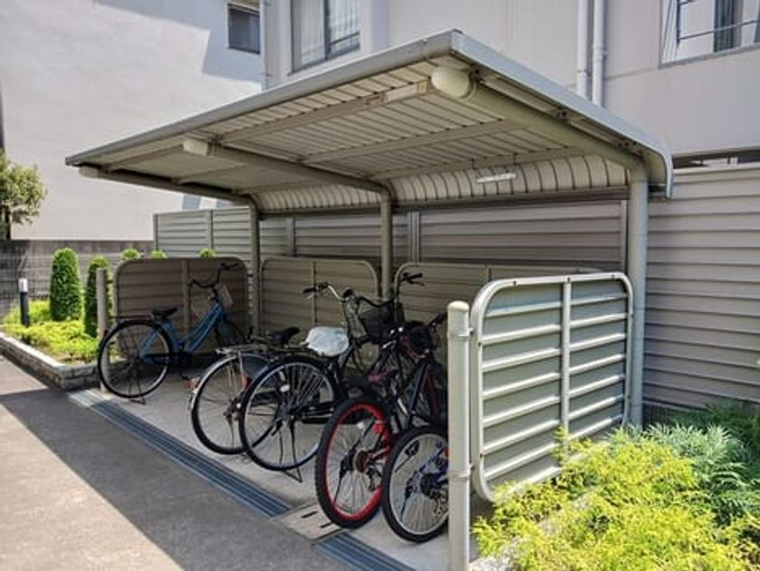 Naikan11 20250619000000 945x630