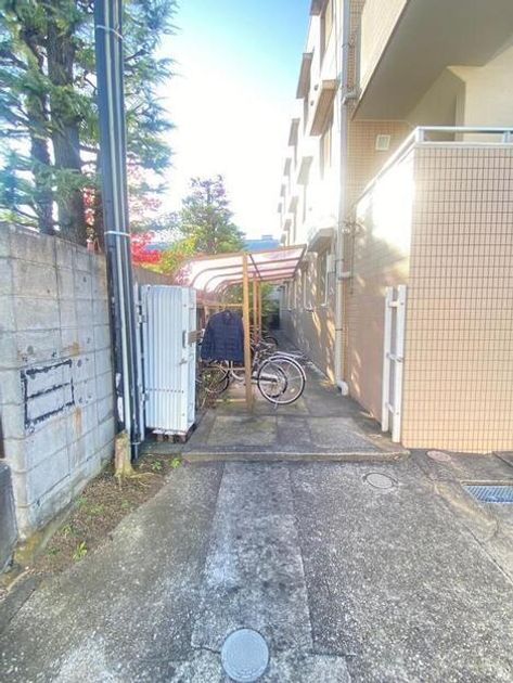 Naikan23 20250818114823 945x630