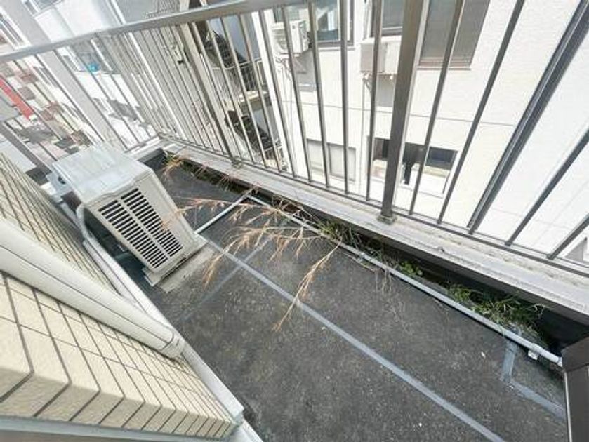 Naikan16 20250418154147 945x630