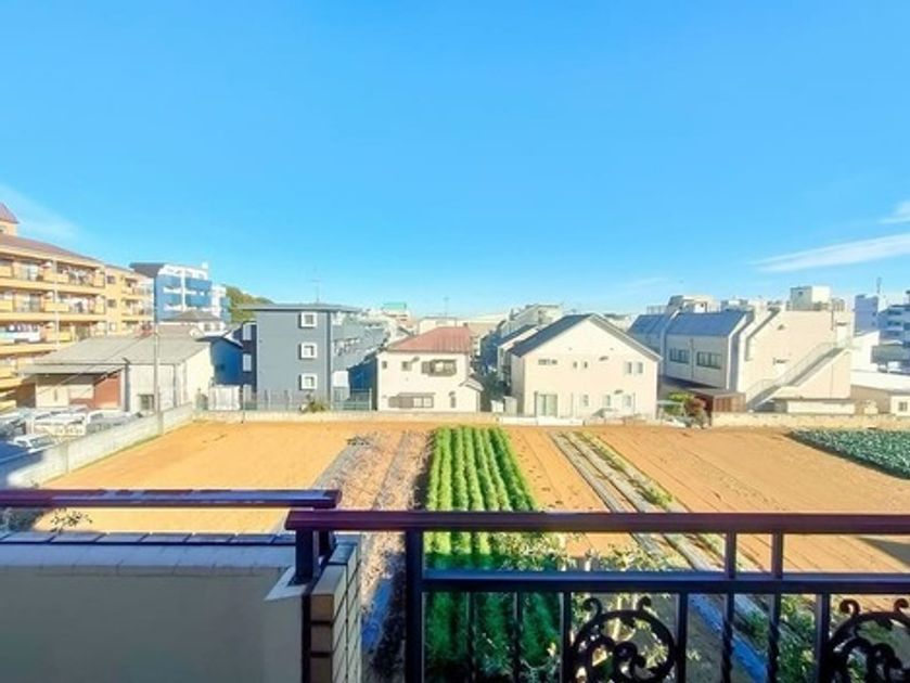 Naikan15 20250116215741 945x630