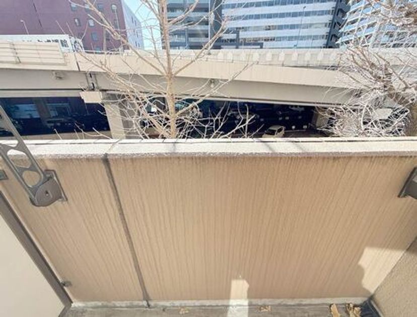 Naikan16 20250214142332 945x630