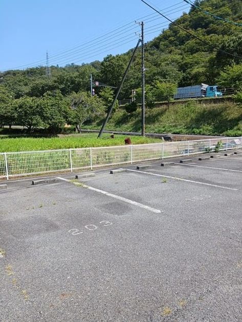 Naikan11 20250828000000 945x630