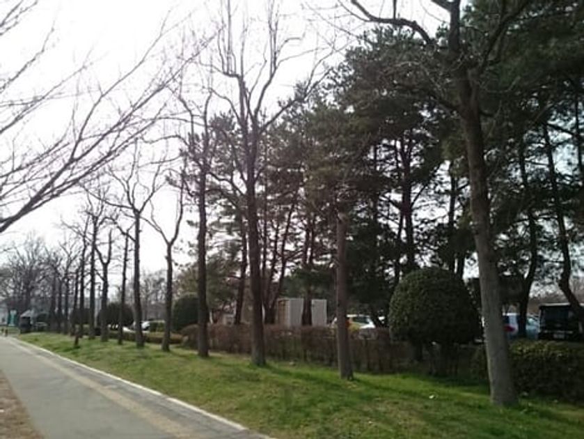 Naikan13 20220323000000 945x630