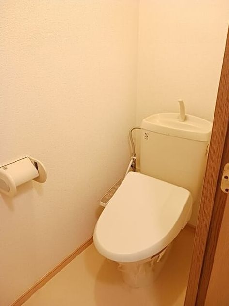 Naikan8 20250827000000 945x630