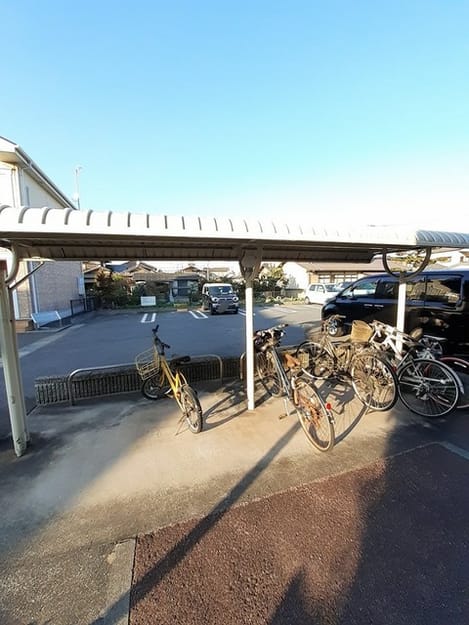 Naikan11 20251003000000