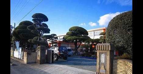 Naikan14 20250404000000