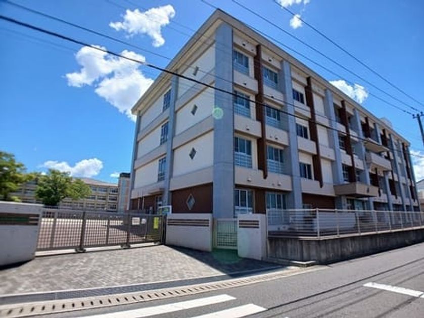 Naikan15 20250729000000 945x630