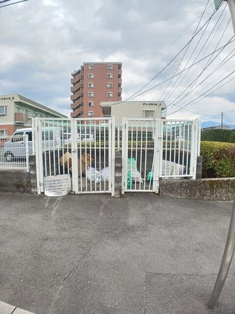 Naikan7 20251118000000 945x630