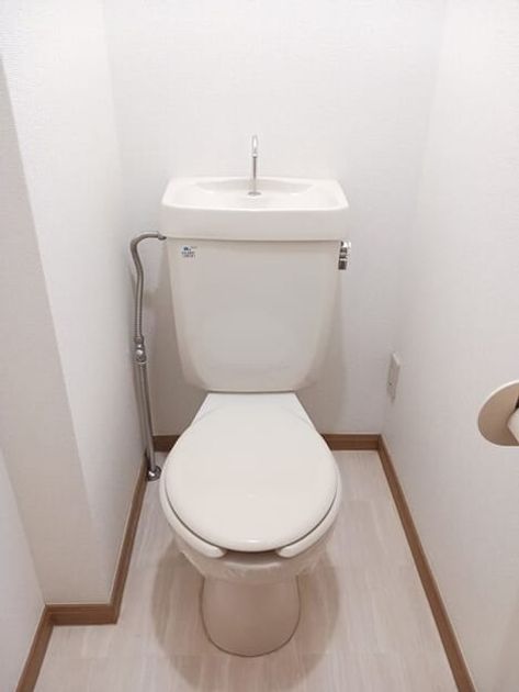Naikan8 20251014000000 945x630
