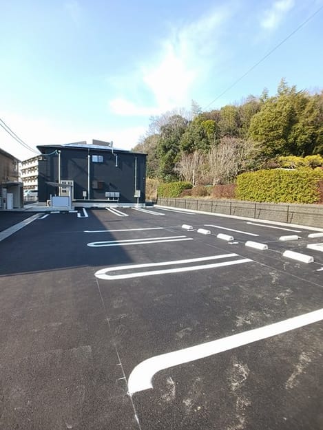 Naikan11 20260119000000