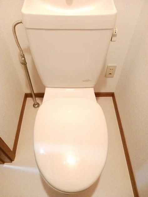 Naikan8 20250929000000 945x630