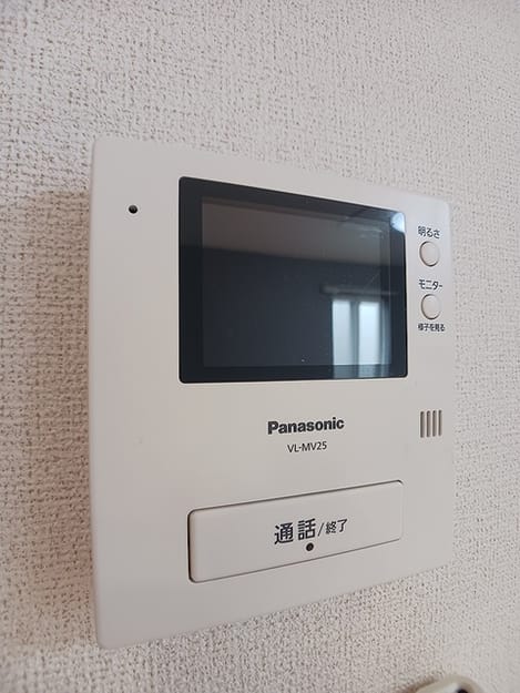 Naikan11 20260608000000