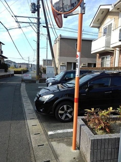 Naikan11 20201127000000 945x630