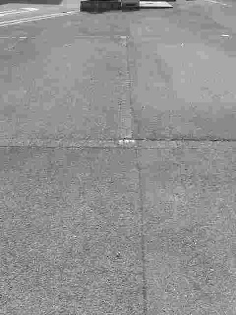 Naikan11 20210423000000