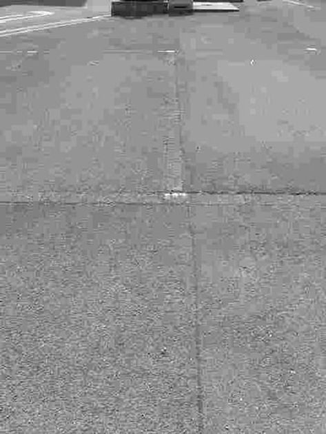 Naikan11 20210423000000 945x630