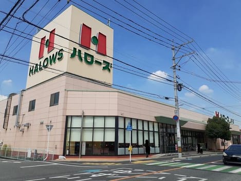Naikan15 20260217000000