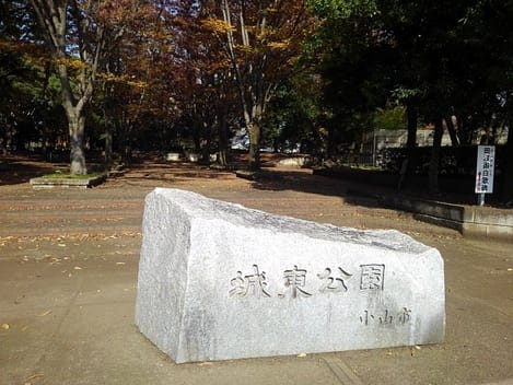 Naikan17 20260121000000
