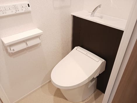 Naikan12 20260220000000