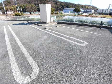 Naikan11 20260129000000