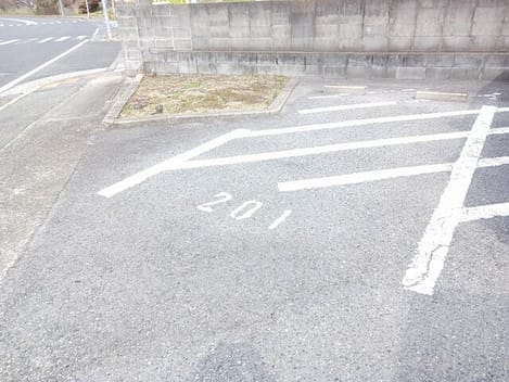 Naikan11 20260302000000