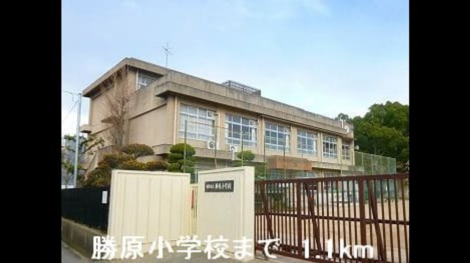 Naikan18 20150317000000 945x630