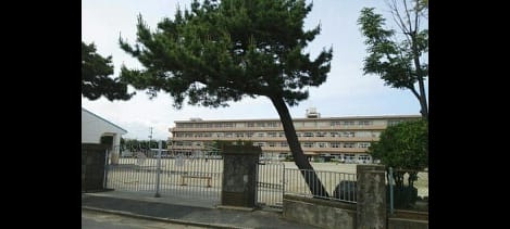 Naikan17 20260730000000