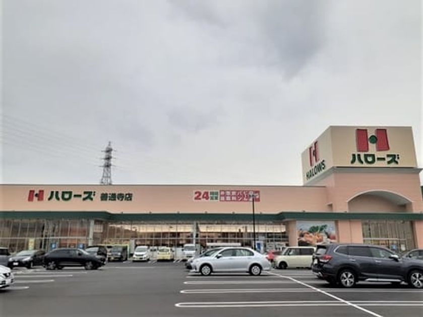 Naikan14 20230407000000 945x630