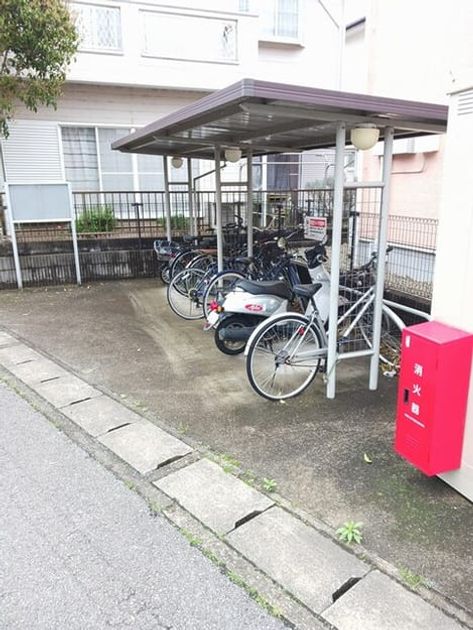 Naikan11 20260402000000 945x630