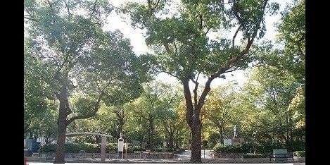 Naikan18 20200402000000