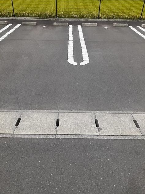 Naikan11 20231027000000 945x630